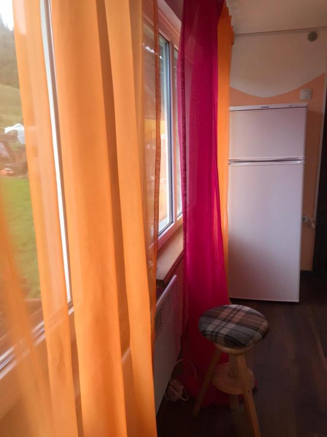 Карпатська Мавка Apartment Vorokhta Exterior photo