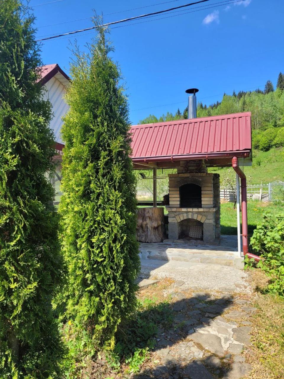 Карпатська Мавка Apartment Vorokhta Exterior photo